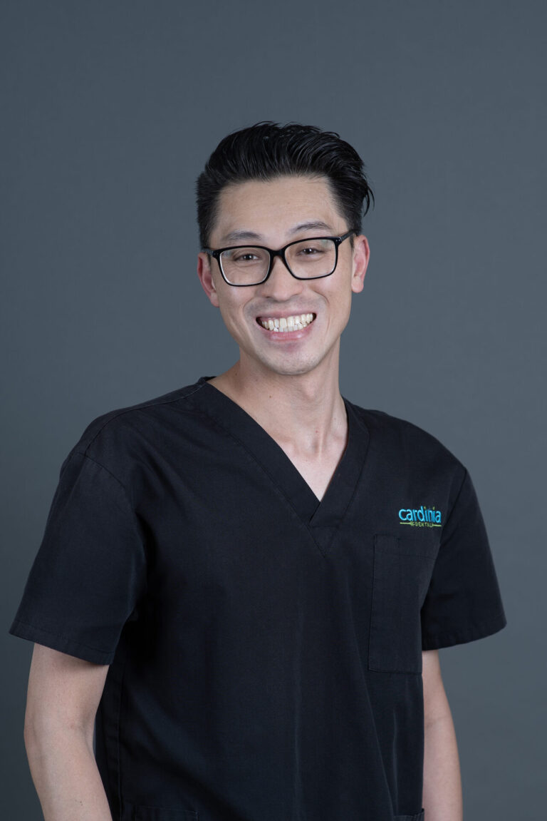 VINCENT WEB FILES (3)