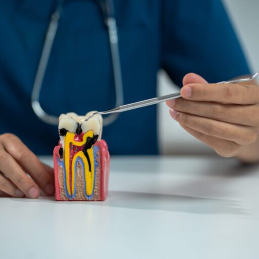 dentists writes reports of working with tooth models and analyzing dental treatments